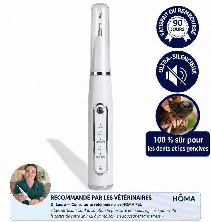 Hygiène dentaire