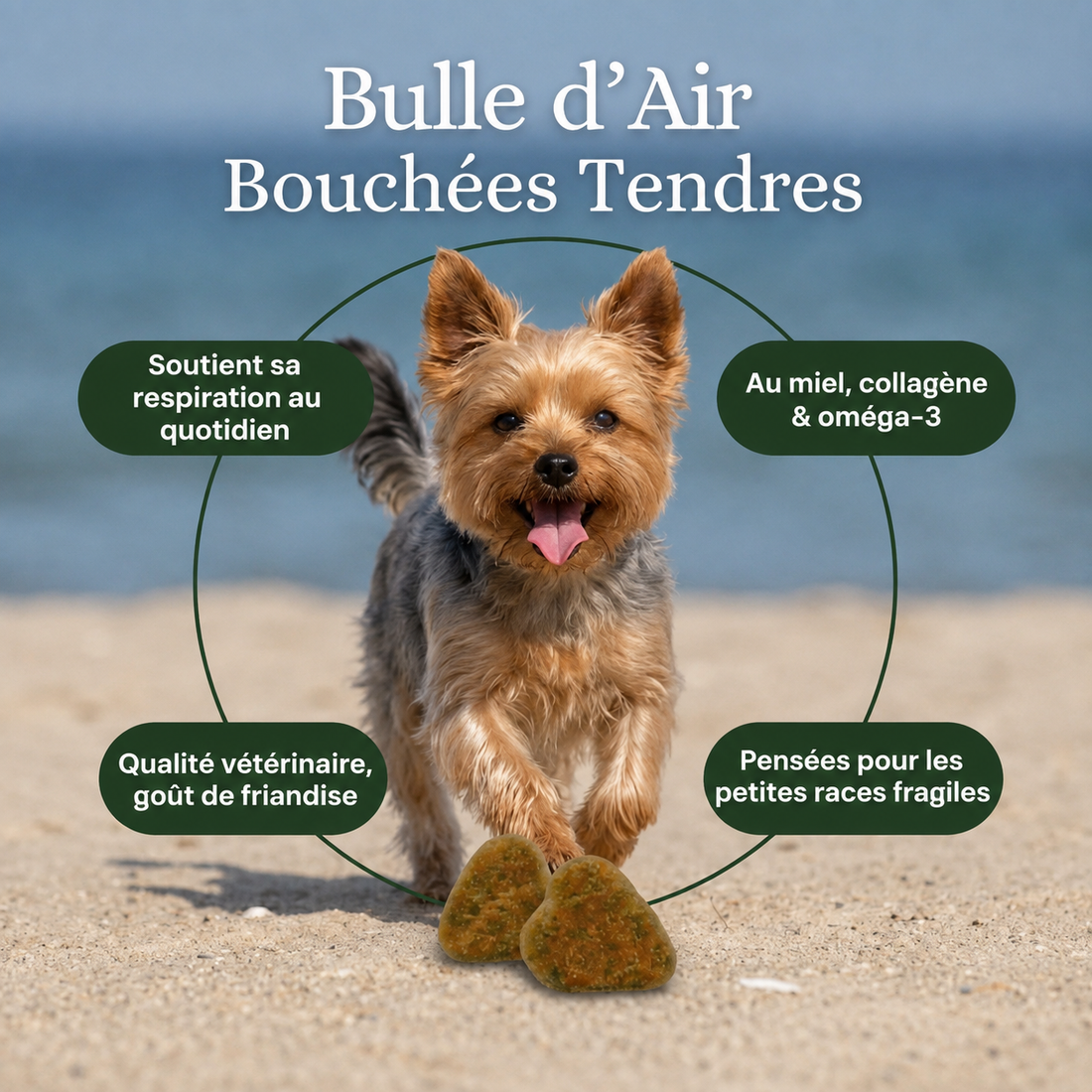 HÔMA™ Bulle d'Air