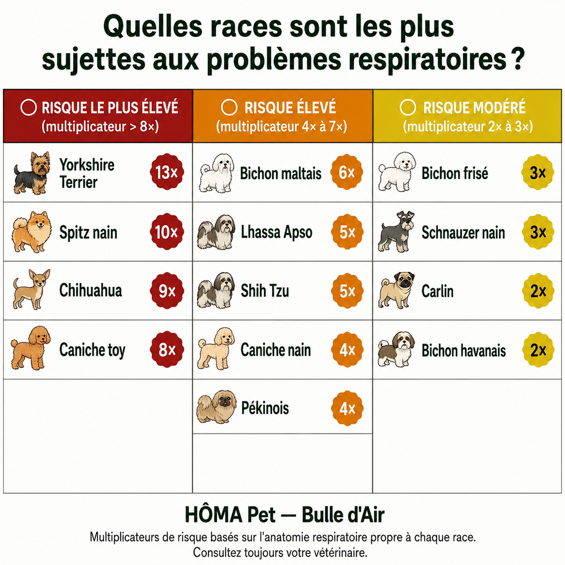 HÔMA™ Bulle d'Air