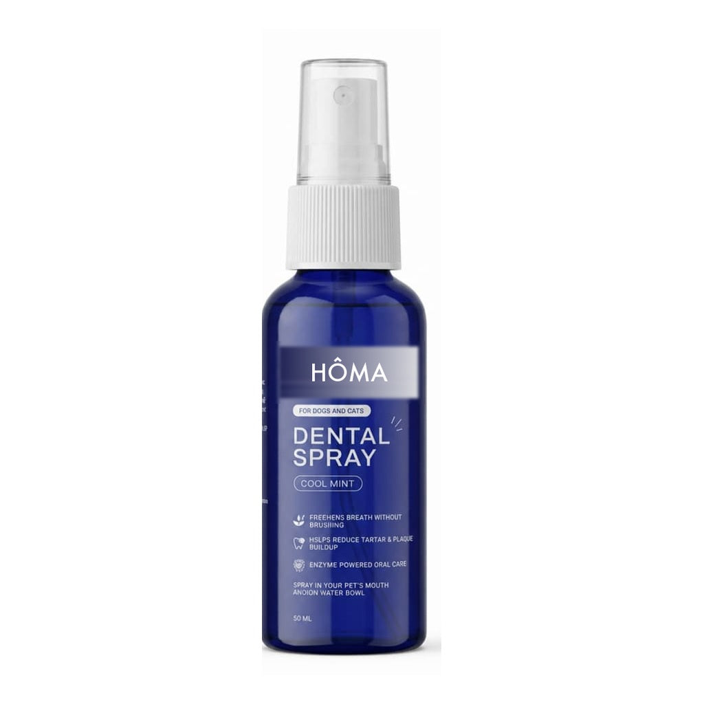 Spray dentaire naturel HÔMA