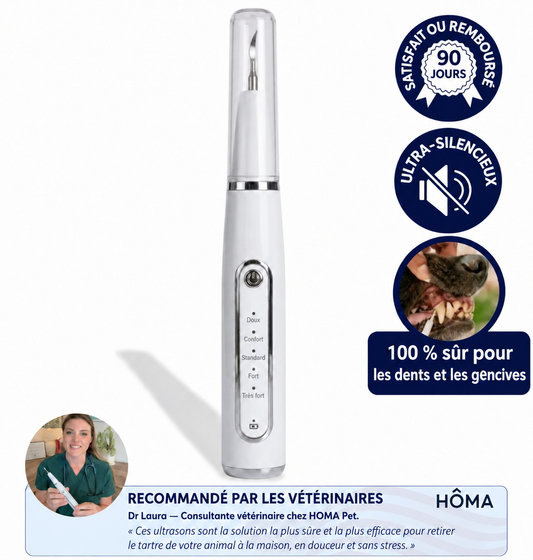 HOMA™ – Détartreur Ultrasonique Silencieux pour Chiens