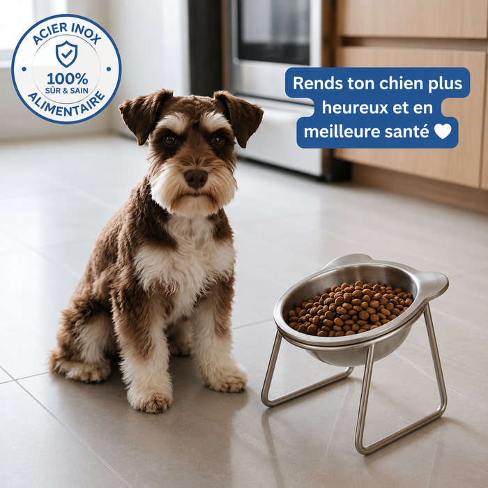 Pour petit chien