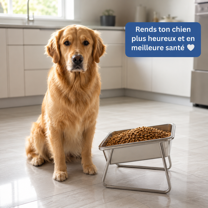 Pour grand chien