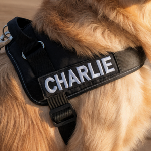 Patch nom personnalisé